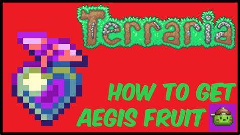5 OUT NOW!) Images. . Aegis fruit terraria